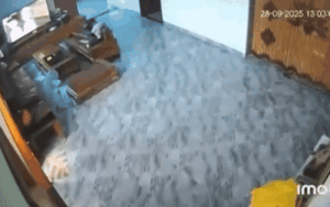 Clip: Trần nhà khang trang đổ sập trong sự bàng hoàng của các thành viên