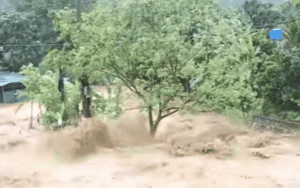 Clip: Nước lũ bất ngờ cuồn cuộn ập về xã Trung Hạ - Thanh Hóa