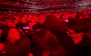 Phẫn nộ khán giả bị bảo vệ hành hung tại sự kiện âm nhạc