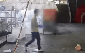 Đem thức ăn cho mèo hoang, sự việc xảy ra ngay sau đó khiến chủ quán cá nướng 'rụng rời'