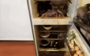 Clip gây tranh cãi: Nữ sinh về quê ít hôm, chủ trọ tự ý cắt điện làm hỏng toàn bộ đồ ăn trong tủ lạnh