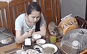 Clip: Cô gái gặp sự việc kỳ lạ trong bữa ăn, vội vàng check camera mới vỡ lẽ