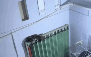 2 giờ sáng đang lơ mơ ngủ, cô gái phát hiện cảnh kinh hoàng trong nhà