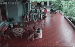 2 'búp măng non' khiến cả nhà hoảng loạn, xem camera mới thấy sự việc đáng sợ ra sao?