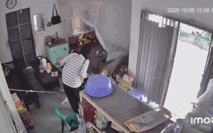 Cháu gái đi du học bất ngờ trở về, khoảnh khắc gặp bà ai cũng rưng rưng