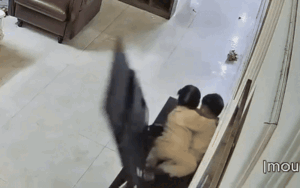 Xem camera, bố mẹ bất lực khi thấy màn nghịch ngợm của 2 'búp măng non'