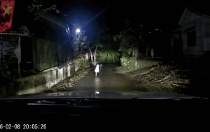 Lái xe vào con đường vắng lúc 8h tối, tài xế được phen 'hú hồn' với cảnh trước mặt