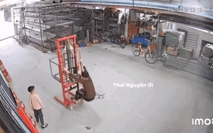 Bé trai hiếu động nghịch ngợm, bố mẹ xem lại camera thấy cảnh đau lòng