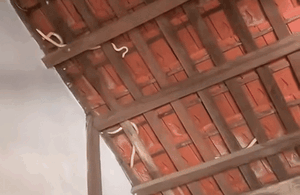 Clip: Dọn nhà đón Tết, gia chủ 'nổi da gà' với cảnh tượng trên mái ngói