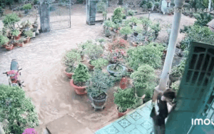 Clip: Dọn nhà đón Tết, thanh niên không ngờ đến sự cố gặp phải