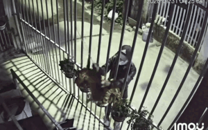 Xem lại camera lúc hơn 4h sáng, cô gái run sợ với cảnh chứng kiến trước mắt