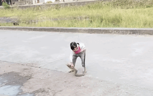 Clip: Bé gái khiến ai nấy 'xanh mặt' với thứ đang ngoe nguẩy trên tay