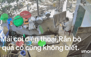 Con rắn bò qua cổ nhưng người đàn ông không hay biết, xem camera mới thấy cảnh thót tim