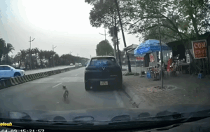 Vừa tránh chú chó, người đàn ông đi xe máy lại gặp sự việc kinh khủng hơn