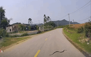 Nhóm thanh niên vội nhảy xuống ô tô vì lý do đặc biệt, xem camera nhiều người phải sợ hãi