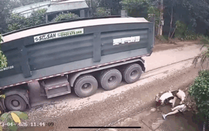 Cô gái buông tay lái rồi ngã xuống đường, camera ghi lại cảnh bất ngờ trước đó