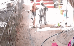 Người đàn ông hét lên đầy sợ hãi khi đang làm việc, xem camera biết lý do ai cũng cười ngất