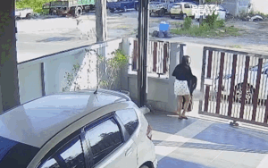 Cô gái xinh đẹp vừa ra cổng liền gặp cảnh 'khó đỡ' lập tức quay ngược vào nhà