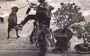 Nam sinh vừa lên xe thì liền ngã nhào, nhiều người không ngờ tới nguyên nhân