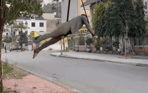 Đu trên cành cây, sự cố tiếp đó khiến thanh niên hoàn toàn bất ngờ