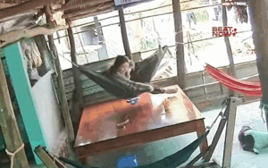 Người phụ nữ la hét khi đang nằm võng, xem camera dân tình thấy cảnh 'nổi da gà'