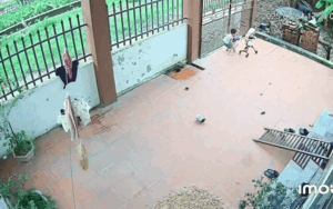 Xem lại camera lúc chiều tối, bố mẹ tự hào vô cùng về cậu anh trai nhỏ tuổi