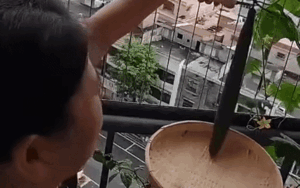 10 giây đi hái mướp của người phụ nữ gây 'náo loạn' mạng xã hội