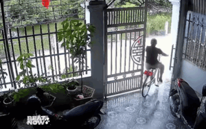 Bé trai đạp xe đạp lao xuống sông, diễn biến tiếp đó khiến dân tình phải phì cười