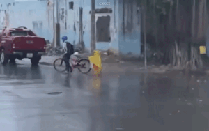 17 giây của 2 anh em trên đường đi học về khiến ai cũng hạnh phúc lây