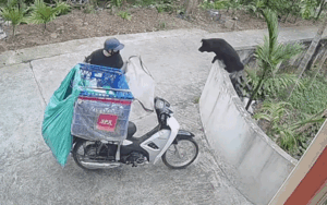 Shipper vừa giao hàng xong, diễn biến tiếp đó khiến dân tình phì cười