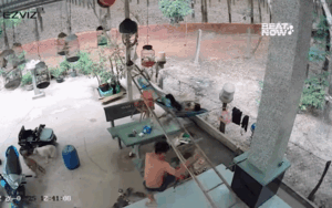 Chồng trèo thang bị ngã, màn phản ứng của vợ khiến dân mạng chú ý