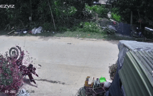 Thấy chậu cây bị ngã, chủ nhà check camera liền thấy cảnh bất ngờ