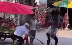Đoạn clip 'tay không bắt rắn' của 2 người đàn ông khiến cõi mạng rôm rả bàn luận