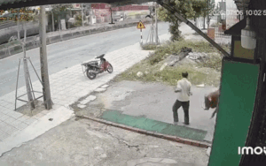 Người đàn ông vừa kéo con bò ra cửa, camera ghi lại diễn biến đáng sợ tiếp đó
