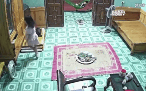 Mâm cơm bưng ra nhưng không ai được ăn, xem camera dân tình mới gật gù hiểu lý do