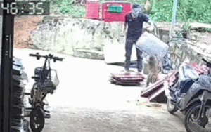 Nam thanh niên bất ngờ bị con khỉ tấn công khi đang làm việc, camera ghi lại cảnh đáng sợ