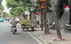 Tấm bảng quảng cáo dừa xiêm '5 nghìn đồng/quả' và sự thật đằng sau