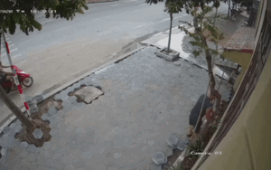 Clip: Ngao ngán cảnh cặp đôi phối hợp trộm cây hoa giấy 7 năm tuổi ngay trước cửa nhà dân