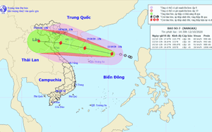 Áp thấp nhiệt đới trên Biển Đông đã mạnh lên thành bão số 7
