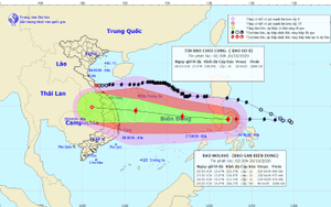 Bão số 8 suy yếu, bão số 9 sắp vào Biển Đông và liên tục mạnh lên