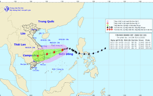 Bão số 10 dự báo mạnh cấp 8 - 9, gây mưa lớn ở các tỉnh miền Trung