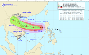 Bão số 13 dự báo sẽ đi vào đất liền các tỉnh Hà Tĩnh - Thừa Thiên Huế và suy yếu dần