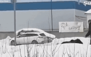 Đang đứng nghe điện thoại, người đàn ông 'chạy trối chết' khi bị gấu đuổi trên phố