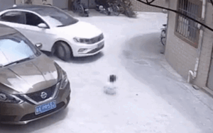 Bé gái bị ô tô đâm trúng, dân tình bức xúc khi biết hành động vô tâm của người mẹ đứng phía sau