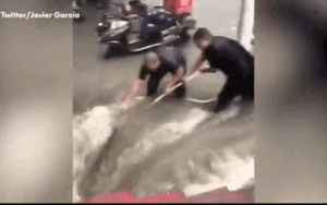 Clip: Giải cứu cô gái suýt bị dòng nước hút xuống cống trong đợt mưa lũ 'nghìn năm có một' ở Trung Quốc