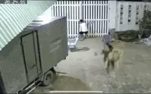 Nhóm người không đeo khẩu trang, mang ghế ra đường hóng mát bỏ chạy tán loạn khi thấy tổ tuần tra