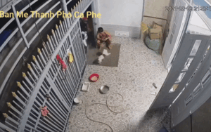 Clip: Chủ nhà ngơ ngác khi bất ngờ bị 2 thanh niên lạ mặt chạy xe máy lao xộc vào tận phòng khách