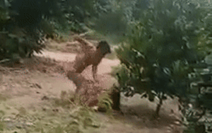 Con trai thẳng tay đấm đá mẹ túi bụi gây bức xúc: 'Bà hết làm mẹ tôi rồi, bà hết cơ hội rồi'