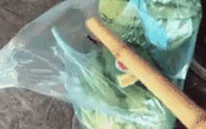 Mua 2 quả dưa hấu về nhà, người đàn ông tá hỏa khi phát hiện điều kinh khủng bên trong túi đựng