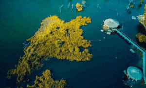 Vẻ đẹp hoang sơ của hồ Noong U, huyện Điện Biên Đông